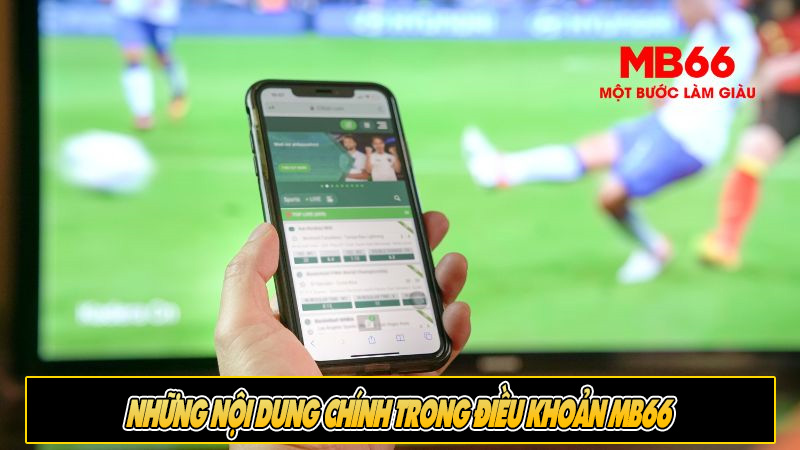 Những nội dung chính trong Điều khoản MB66